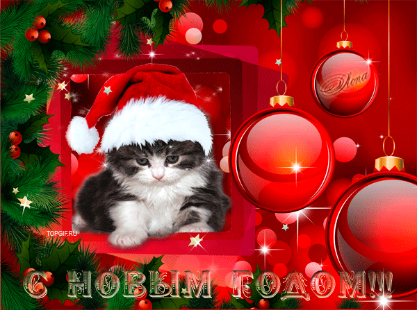 С Новым 2011 годом!!! - Страница 2 - Кошки и котята Сибири